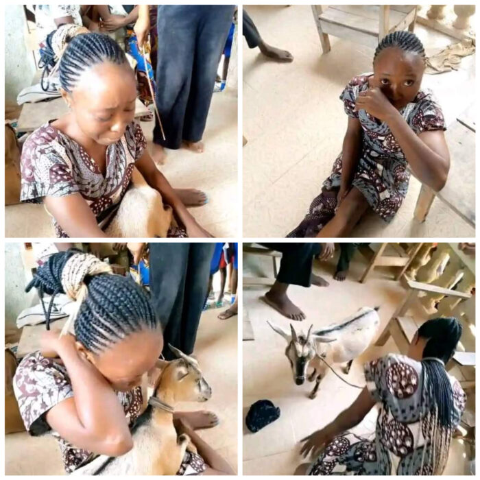 "What A Man Can Do, A Woman Can Do Better" Reactions As Mother Of 2 Is Nabbed For Stealing A Goat