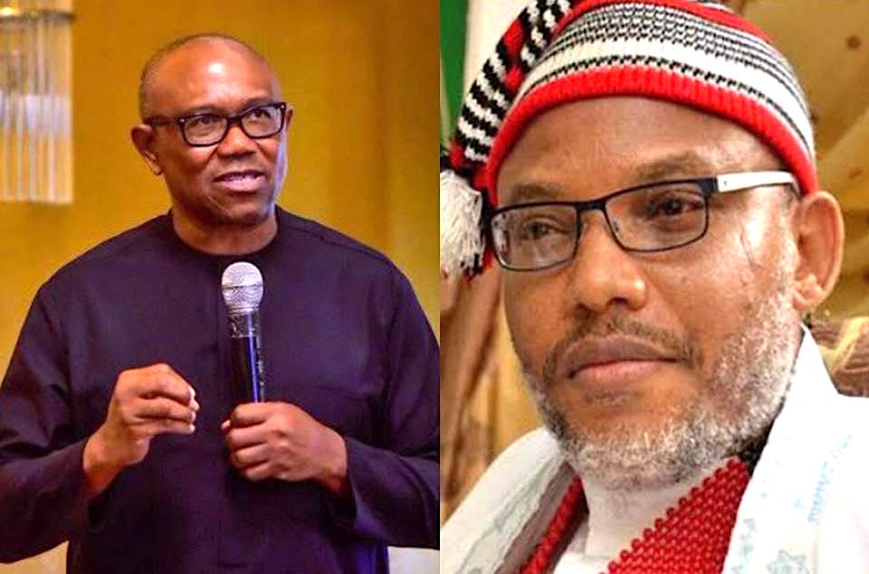 latest Peter Obi and Labour Party News