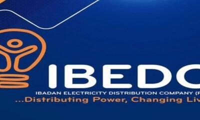 Ibadan Electric