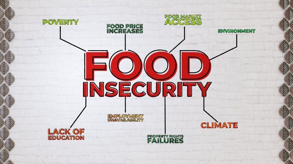 food insecurity 