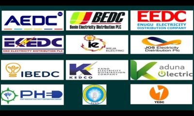 Electricity Distribution Companies