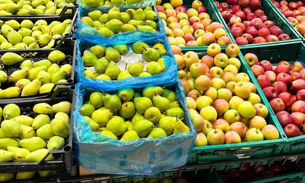 Genetically Modified Organisms