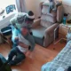 Caregiver