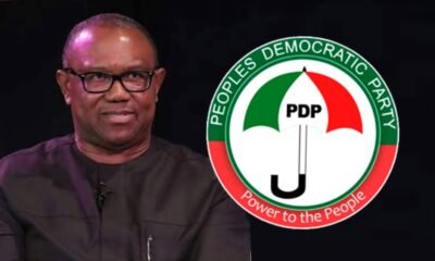 PDP Is Now Begging Peter Obi