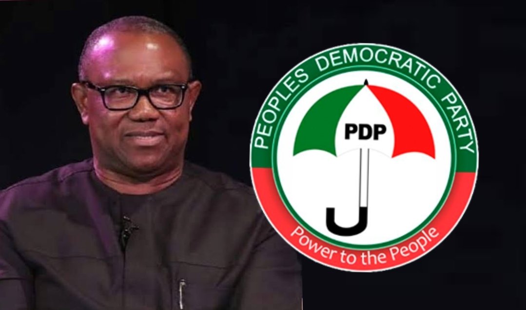 PDP Is Now Begging Peter Obi