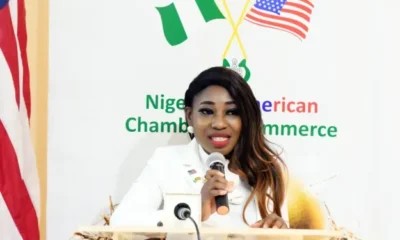 Nigeria's Tech Sector