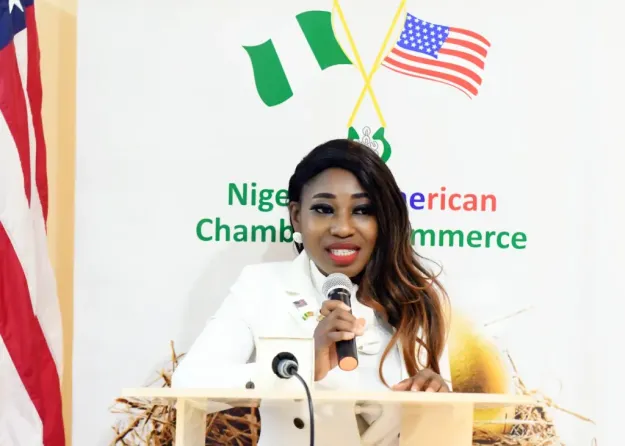 Nigeria's Tech Sector