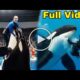 orca