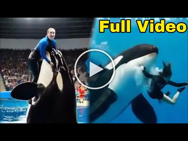 orca