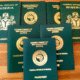 Passport Fees