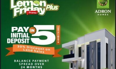 Lemon Friday Plus Promo