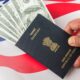 Visa revocations