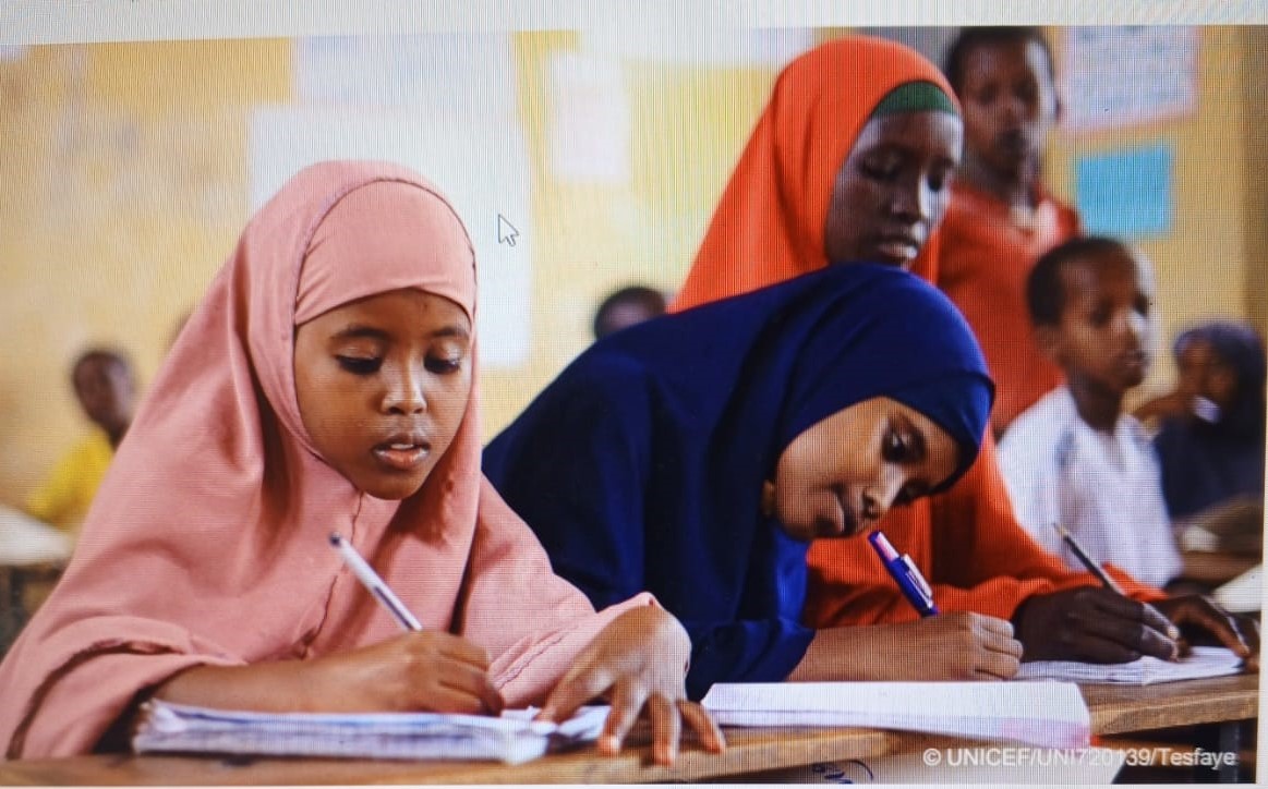 Peculiar Education Crisis