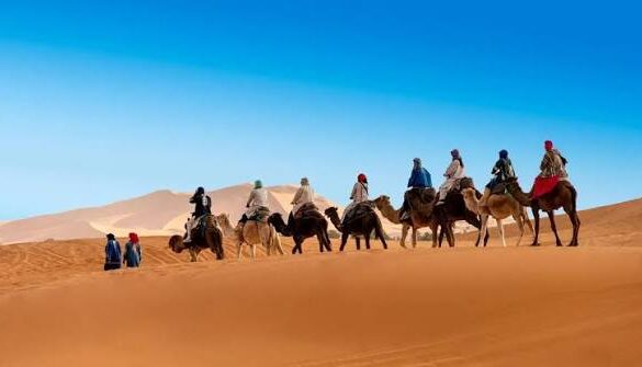What Is Trans Sahara Trade And How Was It Organised?